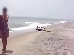 Індыйскі цетачка 1261