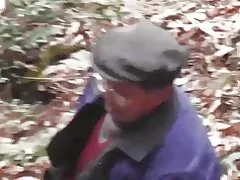 Лес серыя - дзікі лес